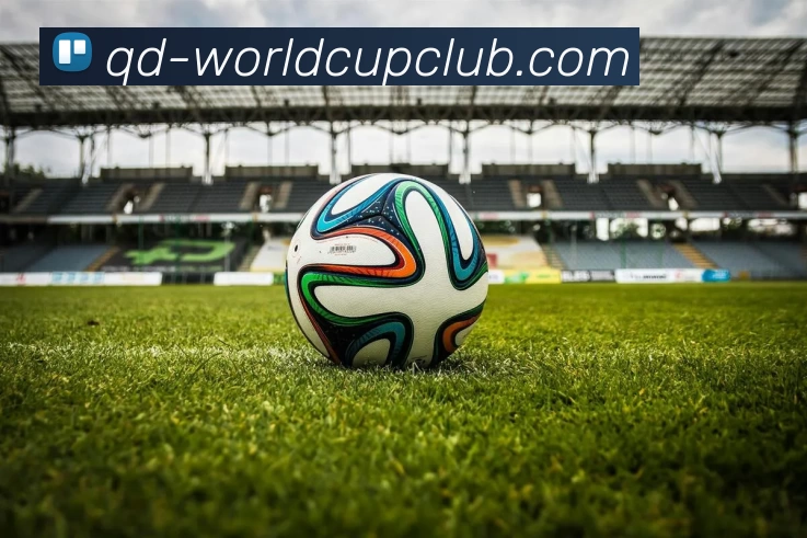 世界杯WorldCup平台平台生态图